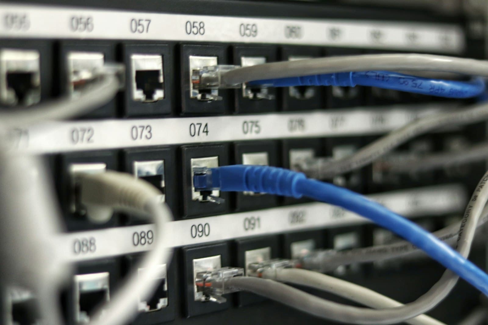 Network patch panel with numbered ports and a blue cable plugged in